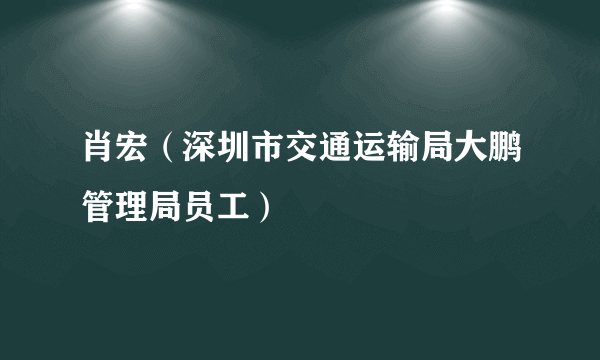 肖宏（深圳市交通运输局大鹏管理局员工）