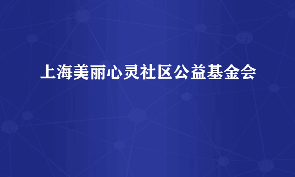 上海美丽心灵社区公益基金会