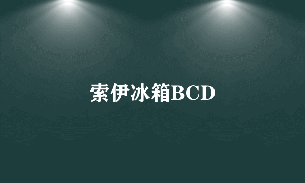 索伊冰箱BCD