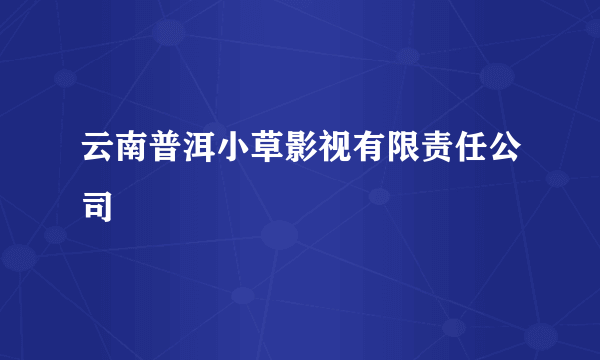 云南普洱小草影视有限责任公司