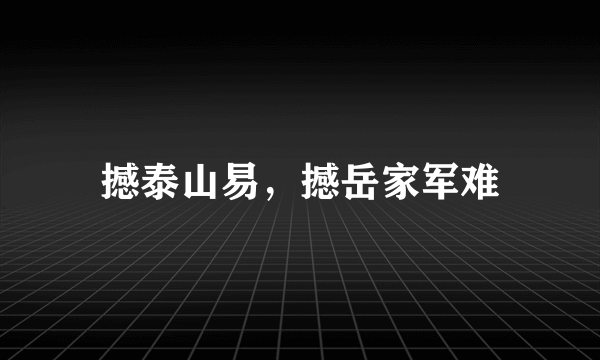 撼泰山易，撼岳家军难