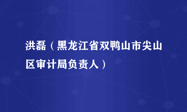 洪磊（黑龙江省双鸭山市尖山区审计局负责人）