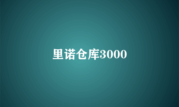 里诺仓库3000