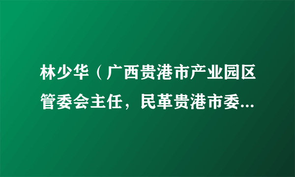 林少华（广西贵港市产业园区管委会主任，民革贵港市委会副主任委员（兼））