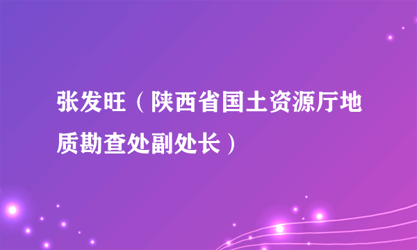 张发旺（陕西省国土资源厅地质勘查处副处长）