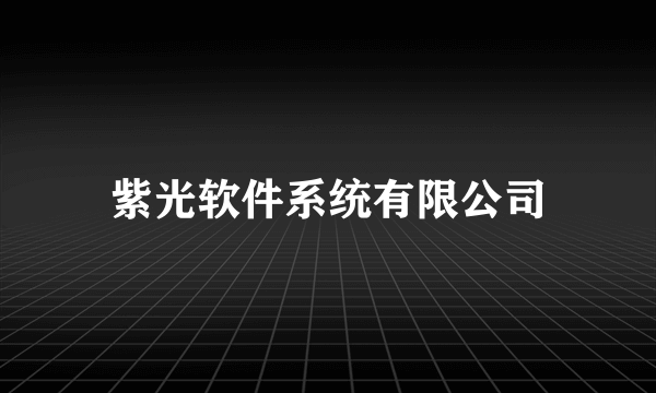 紫光软件系统有限公司