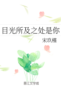 目光所及（宋玖槿创作的网络小说）