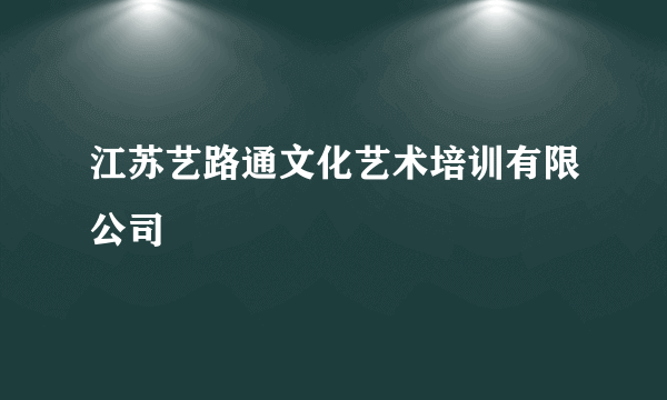 江苏艺路通文化艺术培训有限公司