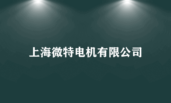 上海微特电机有限公司