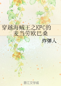 穿越海贼王之KFC的麦当劳欧巴桑