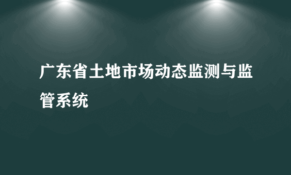 广东省土地市场动态监测与监管系统