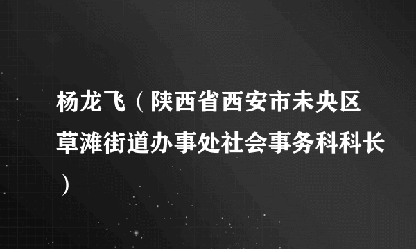 杨龙飞（陕西省西安市未央区草滩街道办事处社会事务科科长）