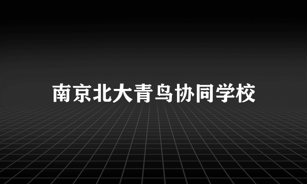 南京北大青鸟协同学校