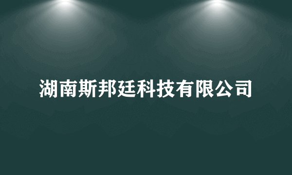 湖南斯邦廷科技有限公司