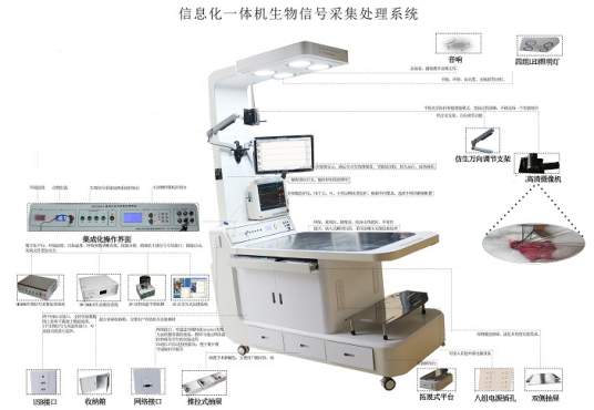 生物信号采集系统