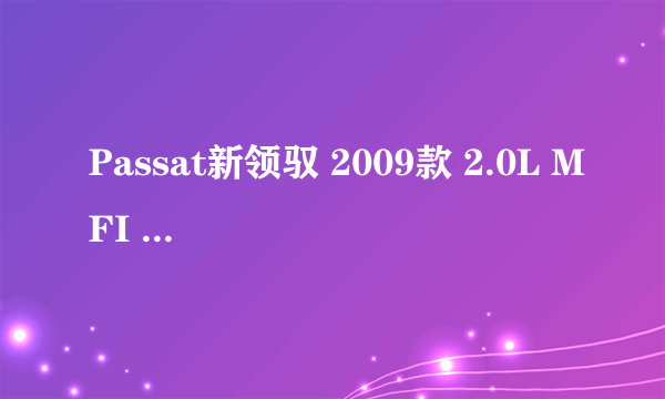 Passat新领驭 2009款 2.0L MFI 手动尊享型