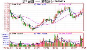 星美联合股份有限公司