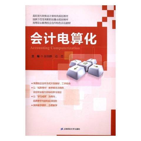 会计电算化（2017年上海财经大学出版社出版的图书）