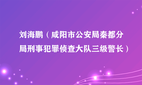 刘海鹏（咸阳市公安局秦都分局刑事犯罪侦查大队三级警长）