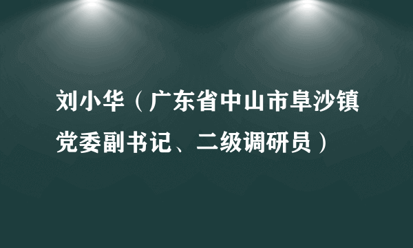 刘小华（广东省中山市阜沙镇党委副书记、二级调研员）