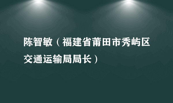 陈智敏（福建省莆田市秀屿区交通运输局局长）