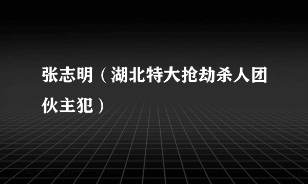 张志明（湖北特大抢劫杀人团伙主犯）