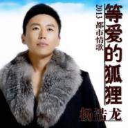 等爱的狐狸（2013年杨浩龙演唱歌曲）