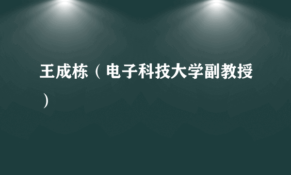 王成栋（电子科技大学副教授）