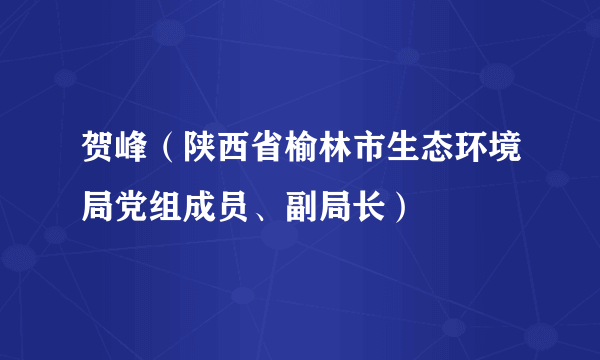 贺峰（陕西省榆林市生态环境局党组成员、副局长）