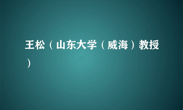 王松（山东大学（威海）教授）