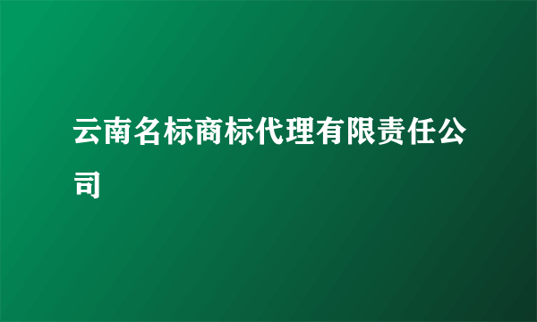 云南名标商标代理有限责任公司