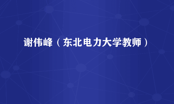 谢伟峰（东北电力大学教师）