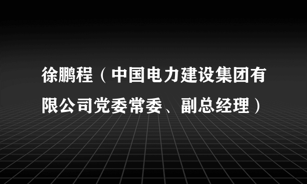 徐鹏程（中国电力建设集团有限公司党委常委、副总经理）