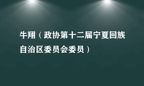 牛翔（政协第十二届宁夏回族自治区委员会委员）