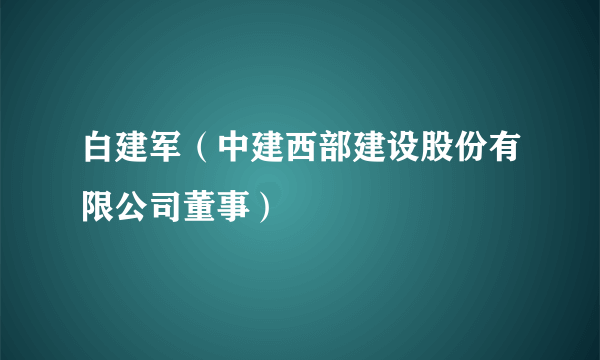 白建军（中建西部建设股份有限公司董事）