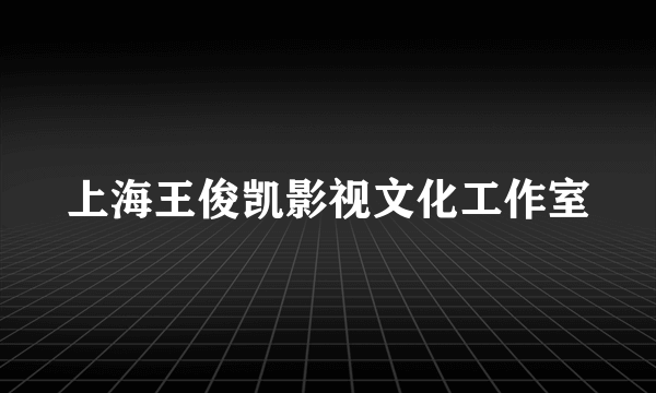 上海王俊凯影视文化工作室