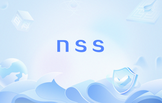 nss（网络用语）