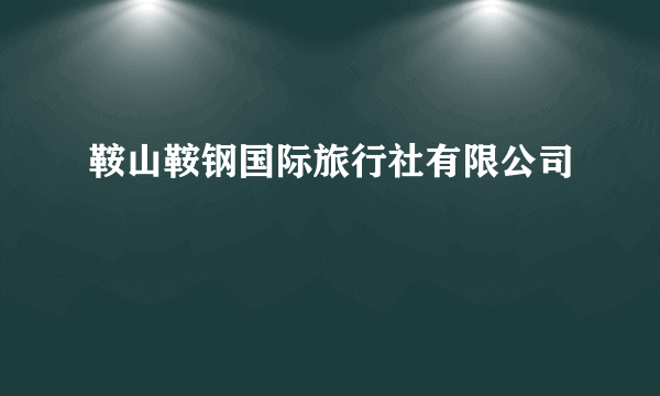 鞍山鞍钢国际旅行社有限公司