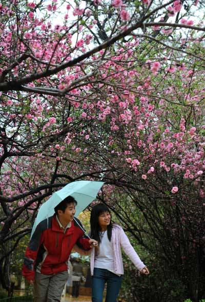 春雨绵绵（舒婷创作的现代诗歌）