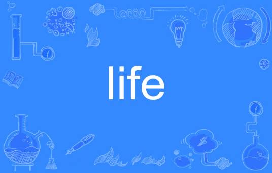 life（英文单词）