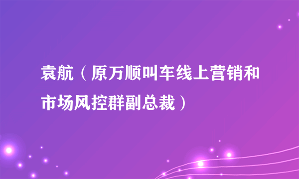 袁航（原万顺叫车线上营销和市场风控群副总裁）