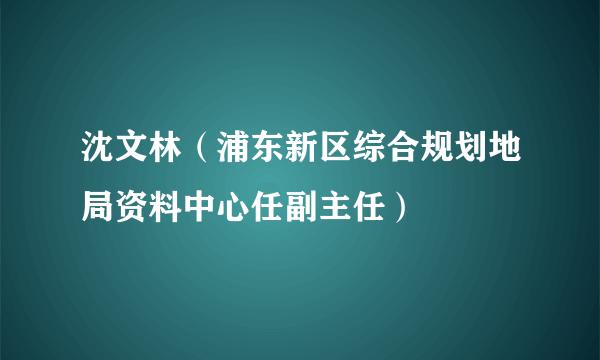 沈文林（浦东新区综合规划地局资料中心任副主任）