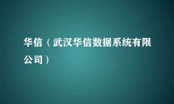 华信（武汉华信数据系统有限公司）