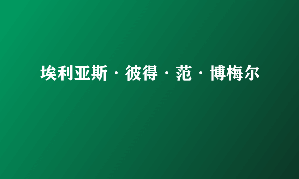 埃利亚斯·彼得·范·博梅尔