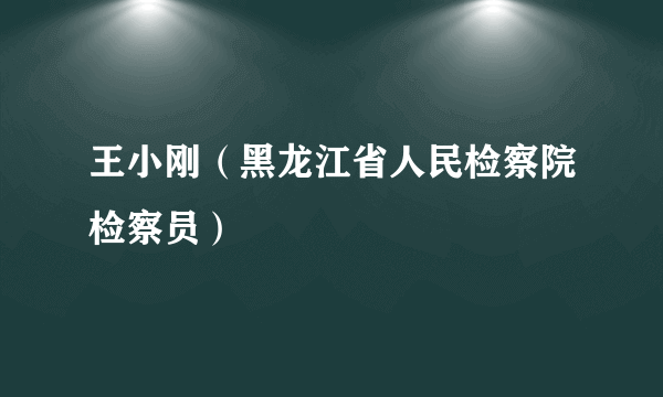 王小刚（黑龙江省人民检察院检察员）