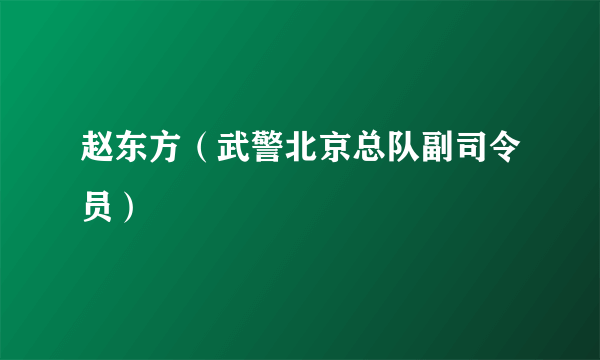 赵东方（武警北京总队副司令员）