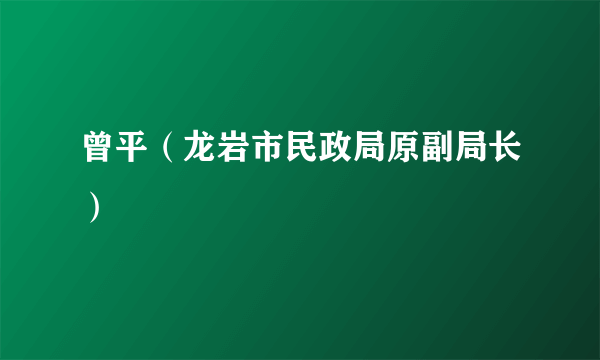 曾平（龙岩市民政局原副局长）