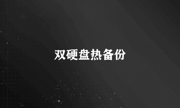 双硬盘热备份