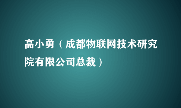 高小勇（成都物联网技术研究院有限公司总裁）