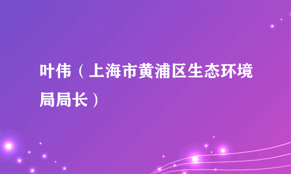 叶伟（上海市黄浦区生态环境局局长）